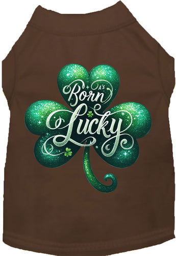 Adorable Cat or Dog Shirt for Pets A's Born Lucky