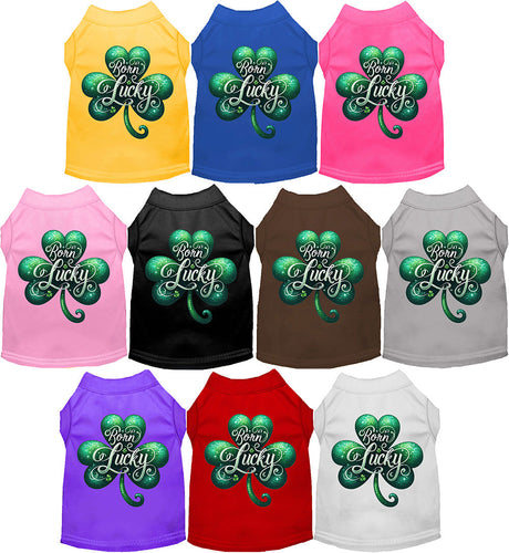Adorable Cat or Dog Shirt for Pets A's Born Lucky