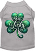 Adorable Cat or Dog Shirt for Pets A's Born Lucky