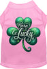 Adorable Cat or Dog Shirt for Pets A's Born Lucky