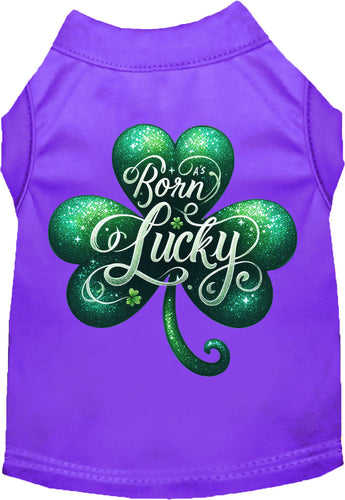 Adorable Cat or Dog Shirt for Pets A's Born Lucky