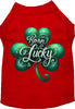 Adorable Cat or Dog Shirt for Pets A's Born Lucky