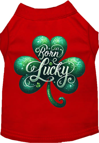 Adorable Cat or Dog Shirt for Pets A's Born Lucky