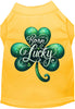 Adorable Cat or Dog Shirt for Pets A's Born Lucky