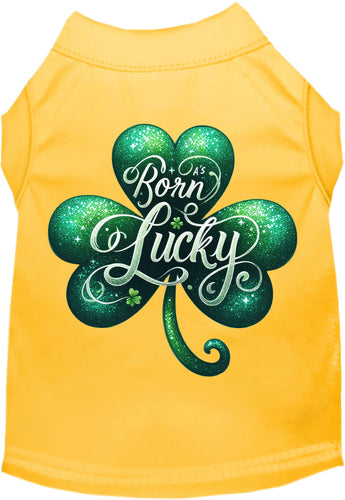 Adorable Cat or Dog Shirt for Pets A's Born Lucky