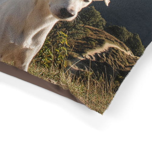 Gull Terrier Pet Bed