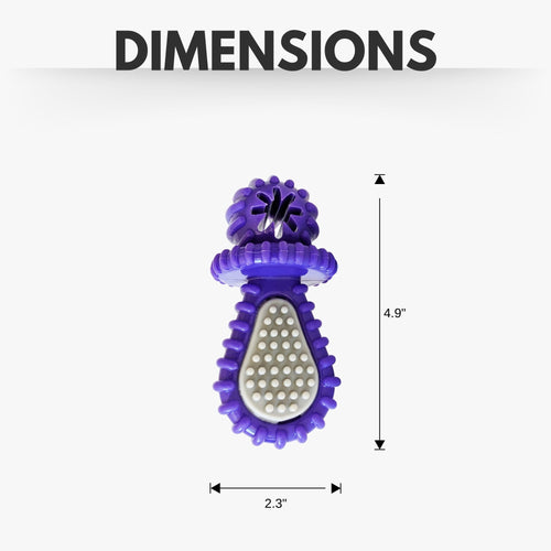 Purple Rubber Dental Pacifier Dog Toy – Ridges, Treat Hole & Durable Design