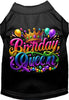 Adorable Cat or Dog Shirt for Pets Gorgeous Birthday Queen