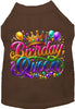 Adorable Cat or Dog Shirt for Pets Gorgeous Birthday Queen