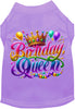 Adorable Cat or Dog Shirt for Pets Gorgeous Birthday Queen