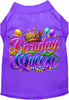 Adorable Cat or Dog Shirt for Pets Gorgeous Birthday Queen