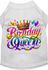Adorable Cat or Dog Shirt for Pets Gorgeous Birthday Queen