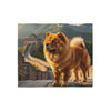 Chow Chow Blanket