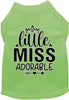 Adorable Cat or Dog Shirt for Pets Little Miss Adorable