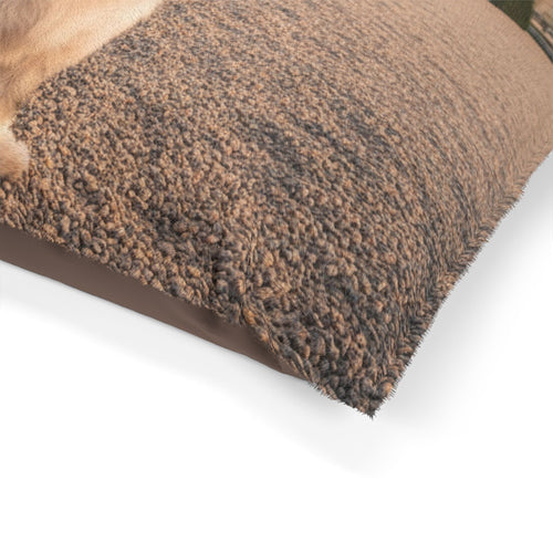 Löwchen Pet Bed