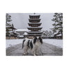 Japanese Chin Blanket