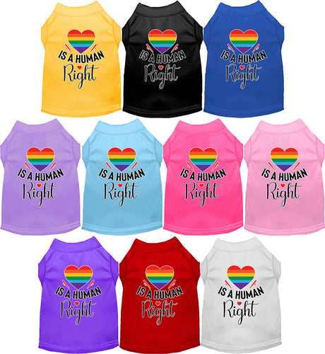 Pride Cat or Dog Shirt for Pets Love is a Human Right