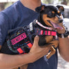 Do Not Pet (Pink) Morale Patch