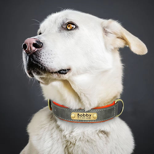 Personalized Dog Collar, Custom Engraved PU Leather Dog Collars, Free Engraving ID Tag Nameplate For Small Medium Large Dogs - C1515