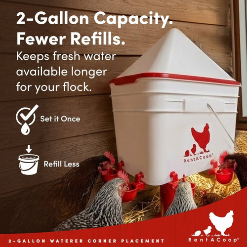 RentACoop 2 Gallon Chicken Waterer with 4 Cups and 4 Nipples - Corner Placement