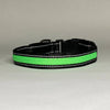 LED Dog Collar: Green