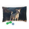 Gull Terrier Pet Bed