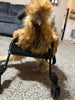Smaller Chicken Wheelchair