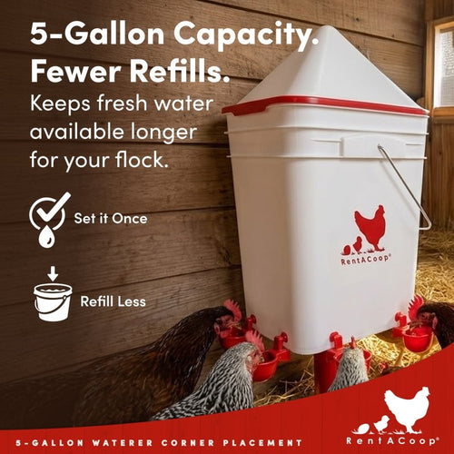 RentACoop 5 Gallon Chicken Waterer with 4 Auto-Fill Water Cups, 4 Horizontal nipples, and Adjustable Stand - Corner Placement