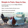 RentACoop 40 lb Automatic Treadle Chicken Feeder