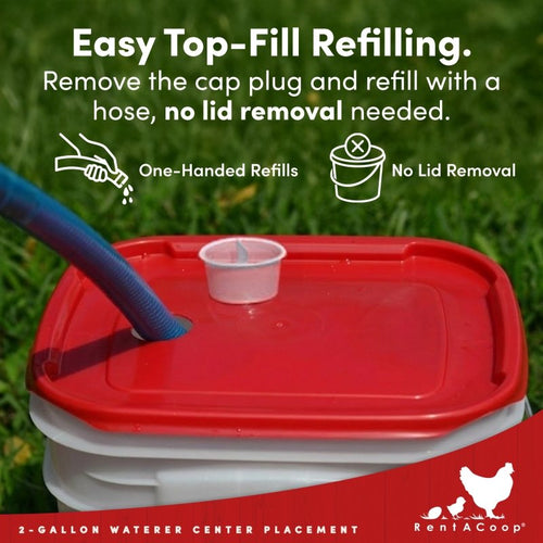 RentACoop 2 Gallon Chicken Waterer with 4 Auto-Fill Water Cups and 4 Horizontal nipples