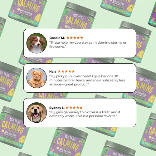Calming Support With Hemp For Dogs 9oz Jar (120 Count)