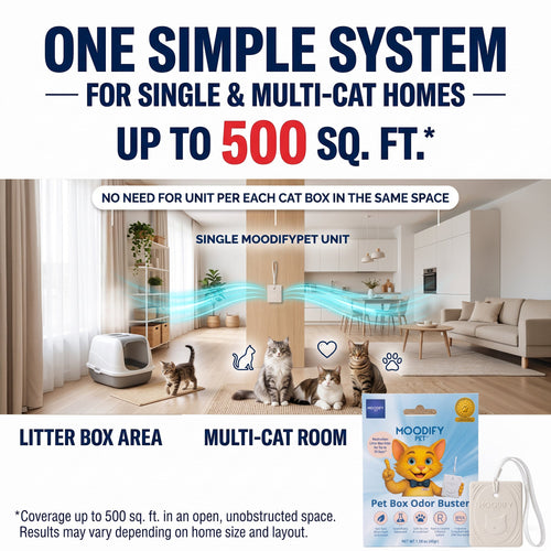 MoodifyPet Cat Litter Box Odor Neutralizer — 1 System for 30 Days