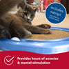 Bergan Turbo Scratcher Cat Toy 16” + Grooming Arch Combo - Interactive Scratch Pad & Self Groomer for Cats