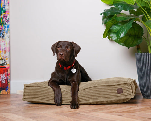 Memory Foam Dog Bed
