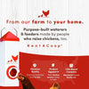 RentACoop 10lb High Rise BPA-Free Single-Port Chicken Feeder