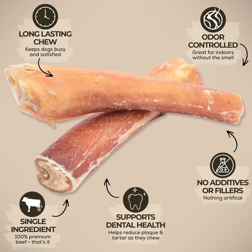 6 Inch Monster Bully Stick