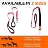 Canny Leash