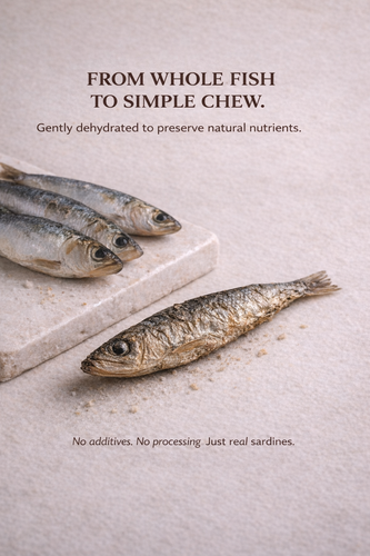 Sardines for Dogs & Cats | Omega-Rich Treat | Whisker & Tail Co.