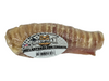 6 Beef Trachea Bone