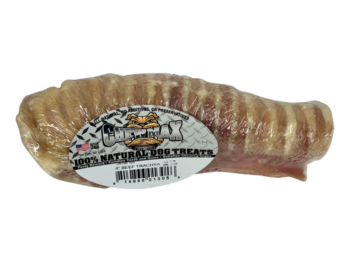 6 Beef Trachea Bone
