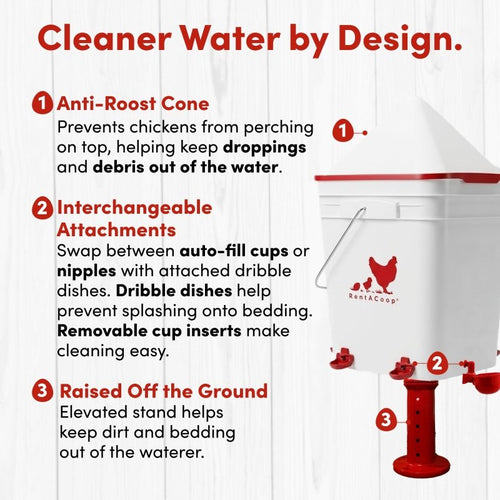 RentACoop 5 Gallon/ 6 Automatic-Fill Water Cup or Nipple Chicken Waterer with Adjustable Stand - Center Placement
