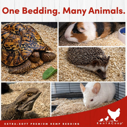 RentACoop Premium Hemp Bedding for Chickens, Rabbits, Horses - 300L (30lbs)