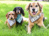 Blue Pineapples Dog Bandana