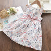 Summer Cute Princess Style Children's Dress With Embroidery Mesh