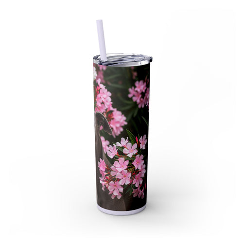Skinny Tumbler with Straw – 20 oz Stainless Steel Cup