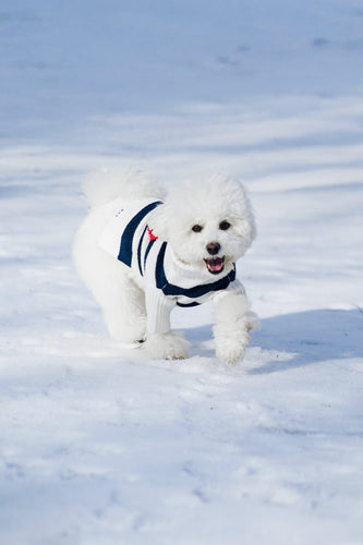 Sailor of My Heart Striped Turtleneck Sweater