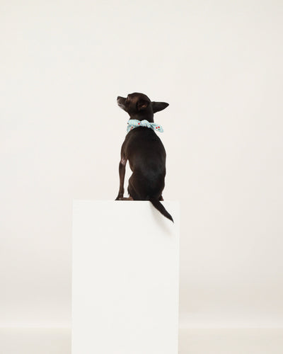 Gingham Cherry Neckerchief