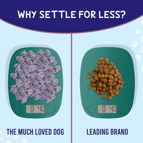 Much Loved Dog™ - Blueberry Burst, Set