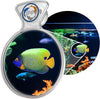 DeepSee Viewer Clear Max 5