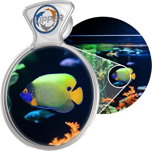 DeepSee Viewer Clear Max 5